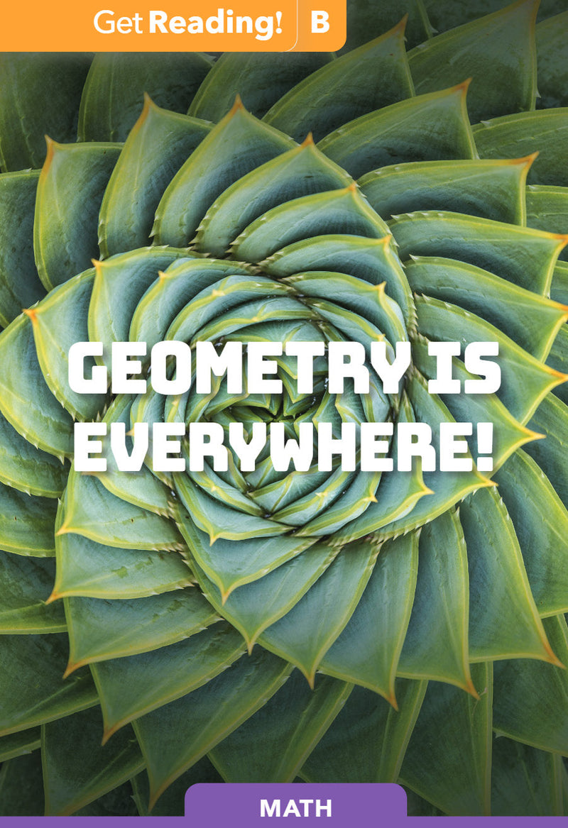 Geometry Is Everywhere!