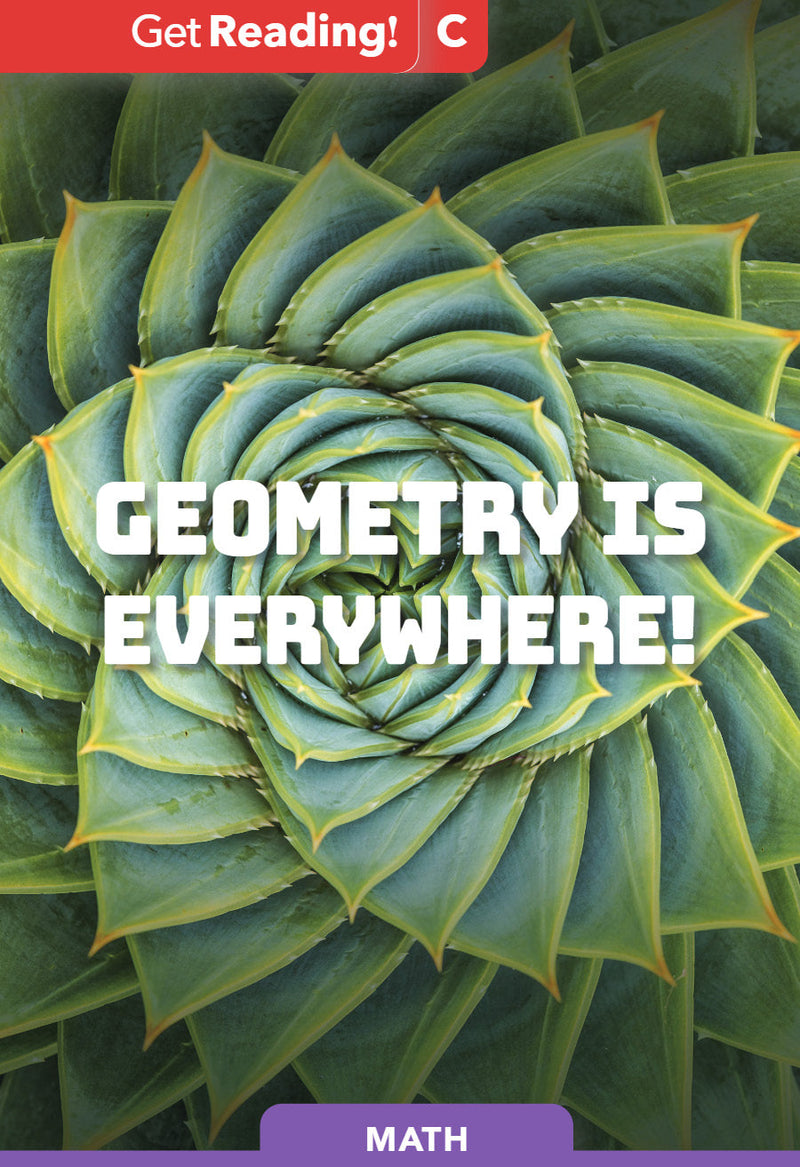 Geometry Is Everywhere!