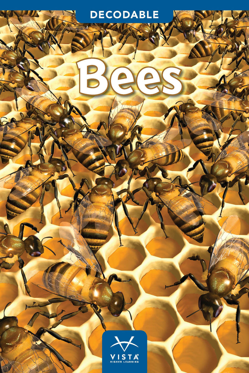 Bees