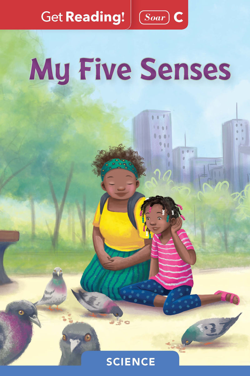 My Five Senses