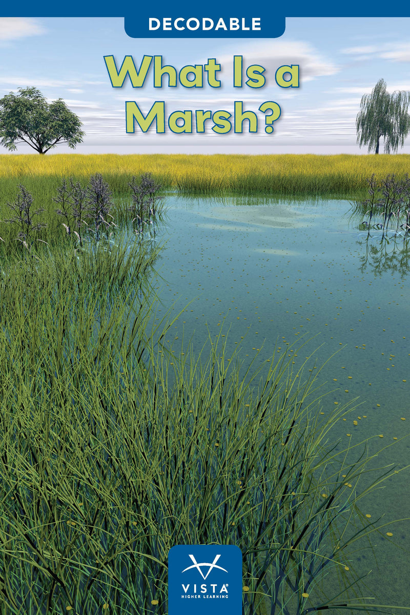 What Is a Marsh?