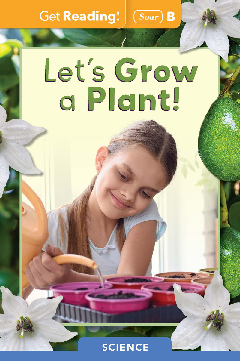 Let's Grow a Plant!