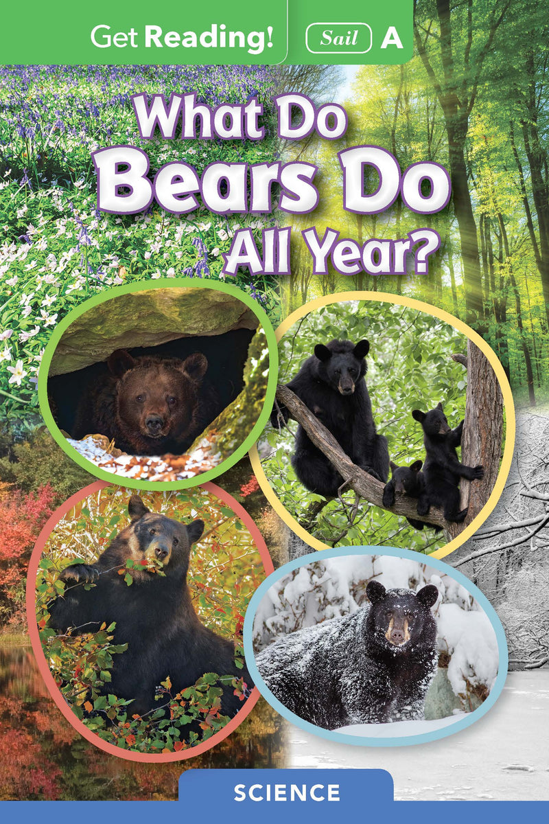 What Do Bears Do All Year?