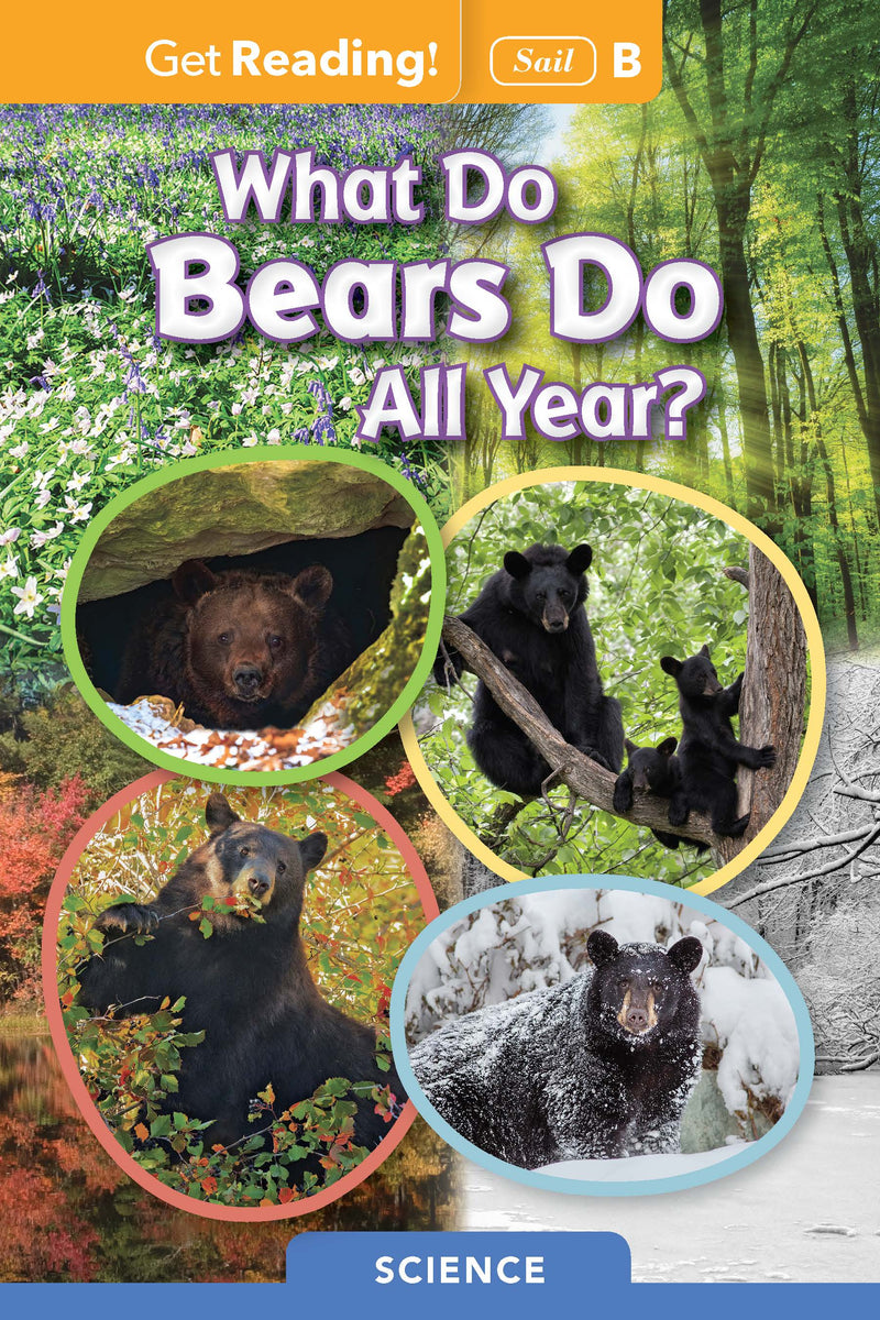 What Do Bears Do All Year?