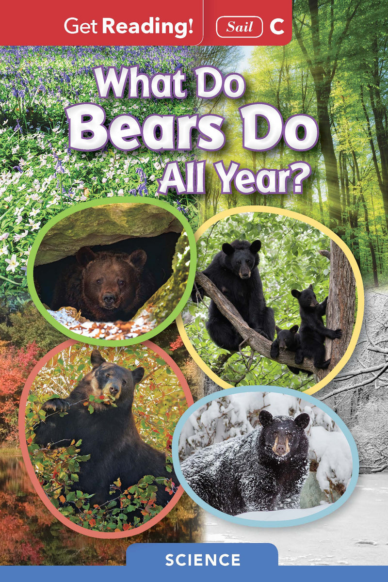 What Do Bears Do All Year?
