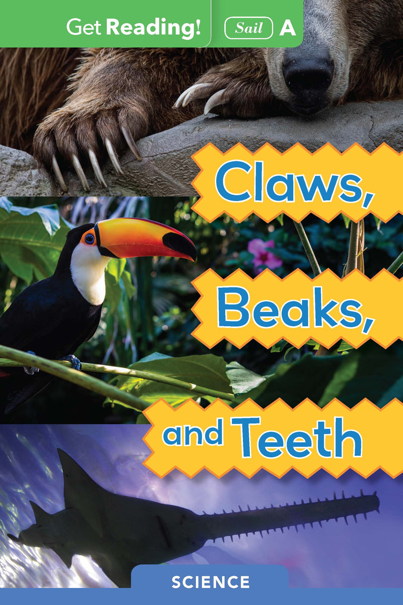 Claws, Beaks, and Teeth