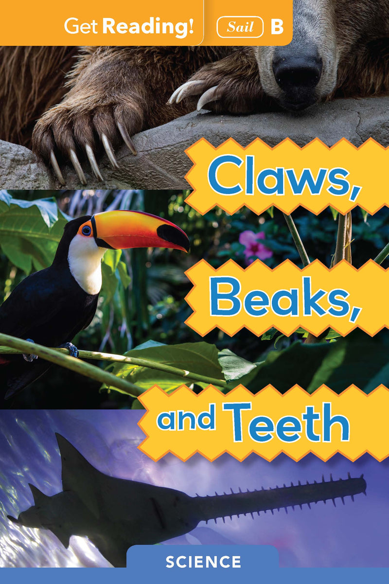 Claws, Beaks, and Teeth