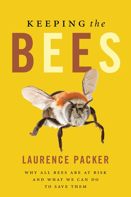 Keeping The Bees: Why All Bees Are At Risk And What We Can Do To