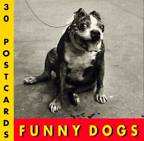 Funny Dogs Postcard Bk