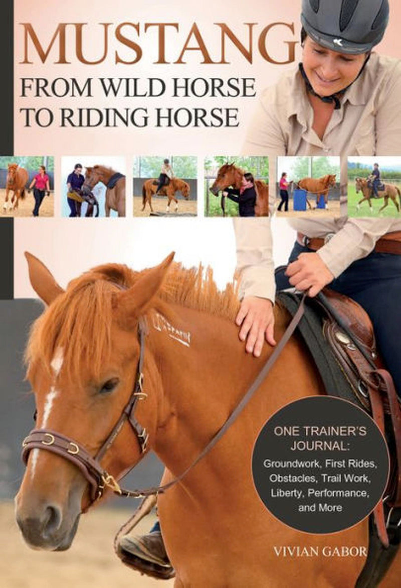 Mustang: From Wild Horse to Riding Horse