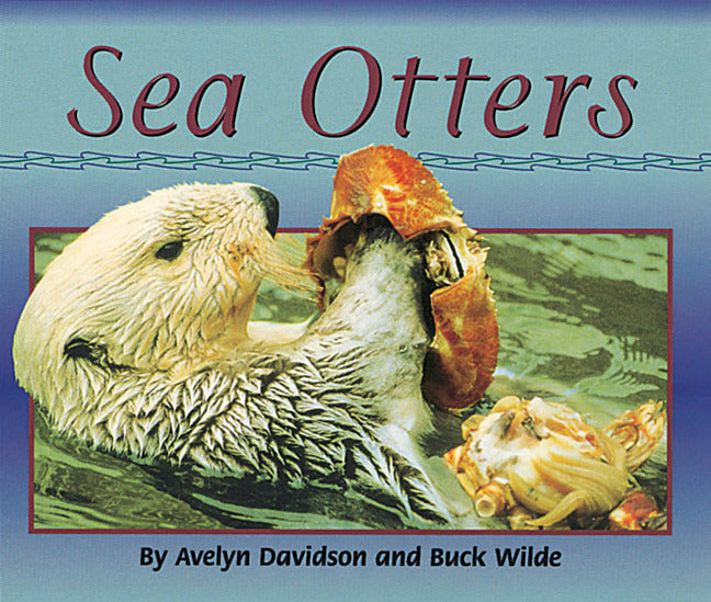 Sea Otters