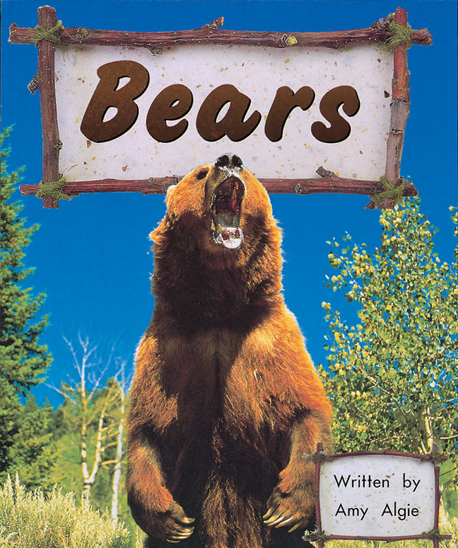 Bears