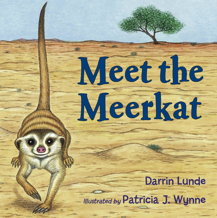 Meet the Meerkat