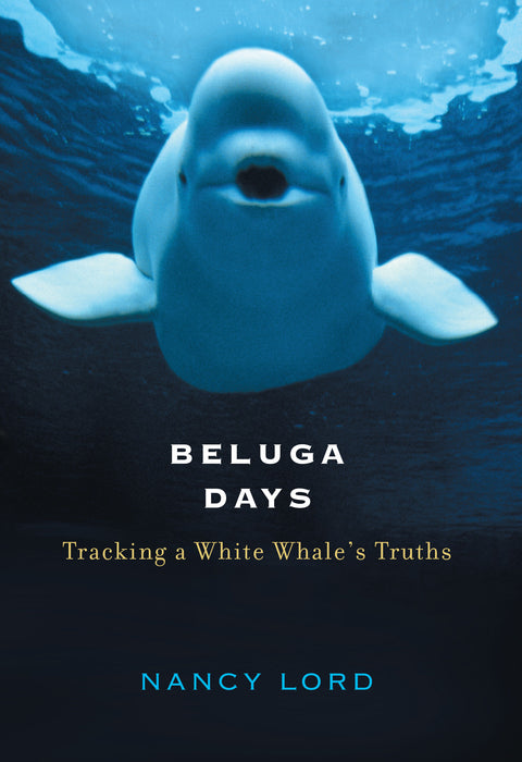 Beluga Days