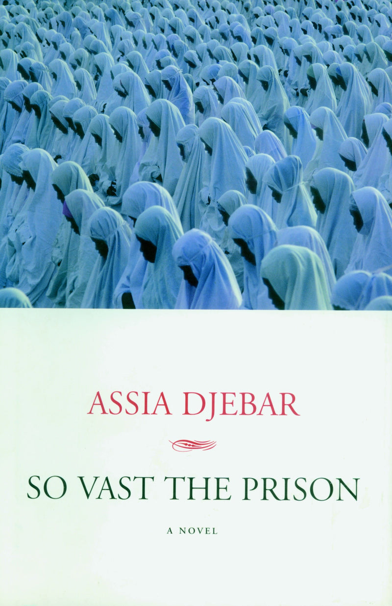 So Vast the Prison: A Novel