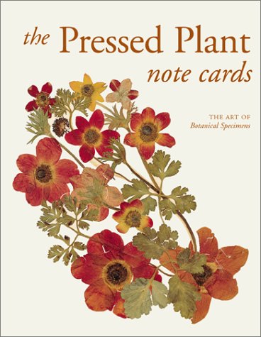 Pressed Plant Note Cards