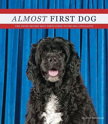Almost First Dog