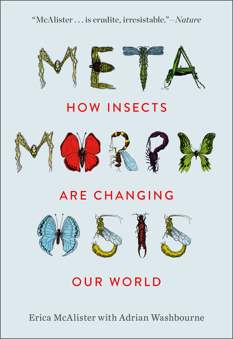 Metamorphosis