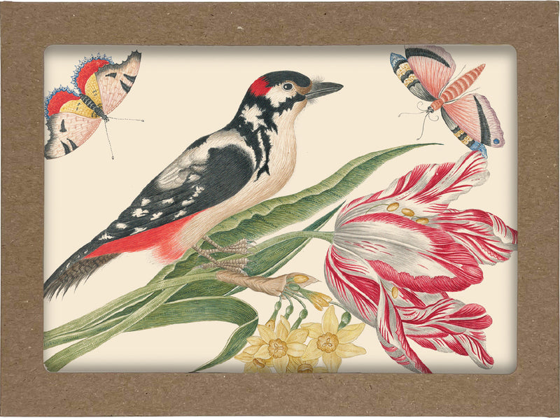 Smithsonian Birds and Flowers Notecard Set: 8 Blank Notecards of 4 Designs & Envelopes