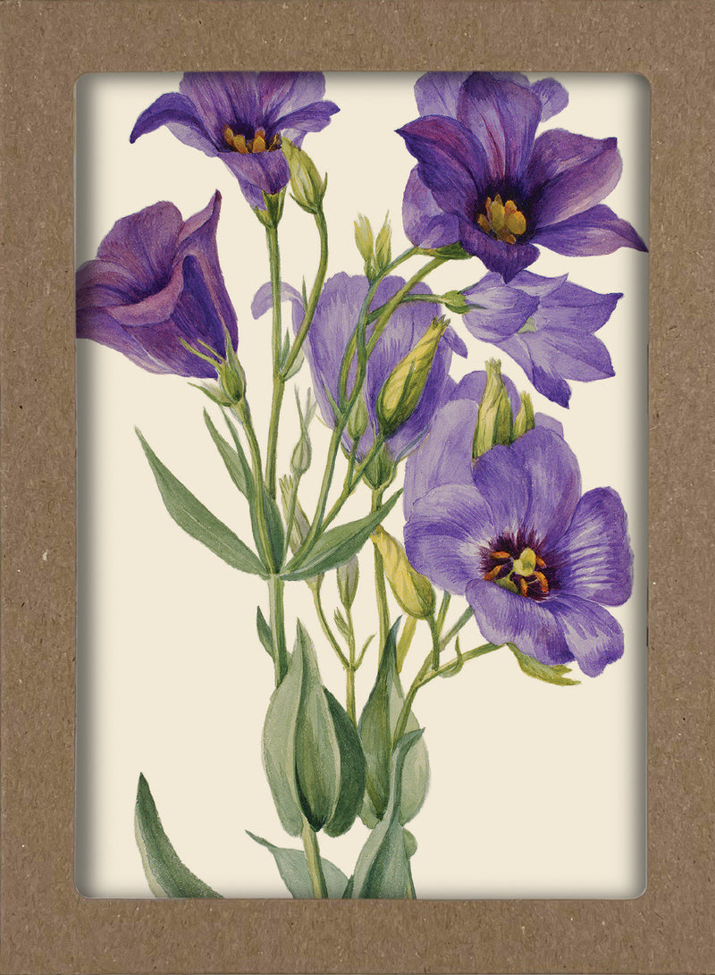 Smithsonian Wildflower Notecard Set - Artwork by Mary Vaux Walcott: 8 Blank Notecards of 4 Designs & Envelopes