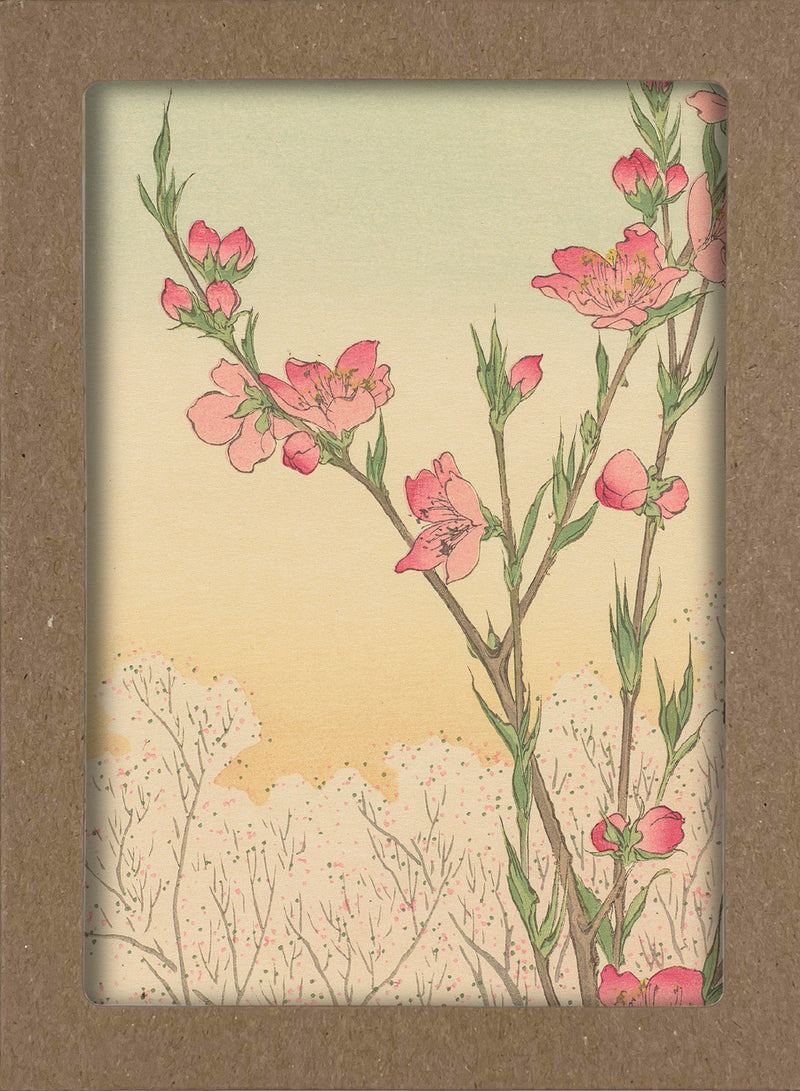 Smithsonian Cherry Blossom Notecard Set: 8 Blank Notecards of 4 Designs & Envelopes