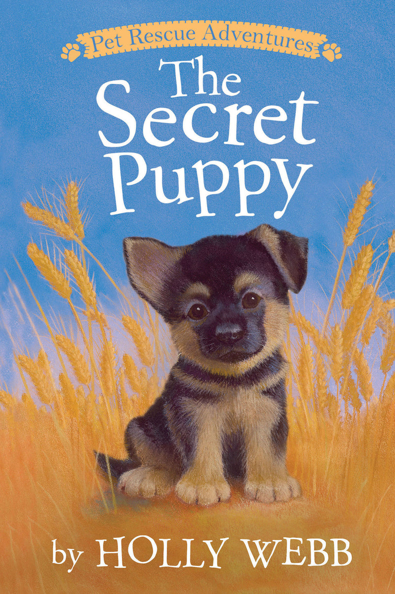 Pet Rescue Adventures