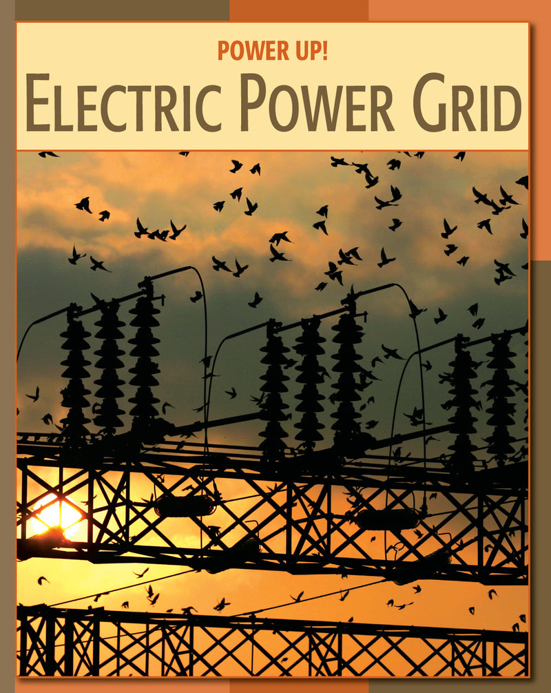 Electric Power Grid