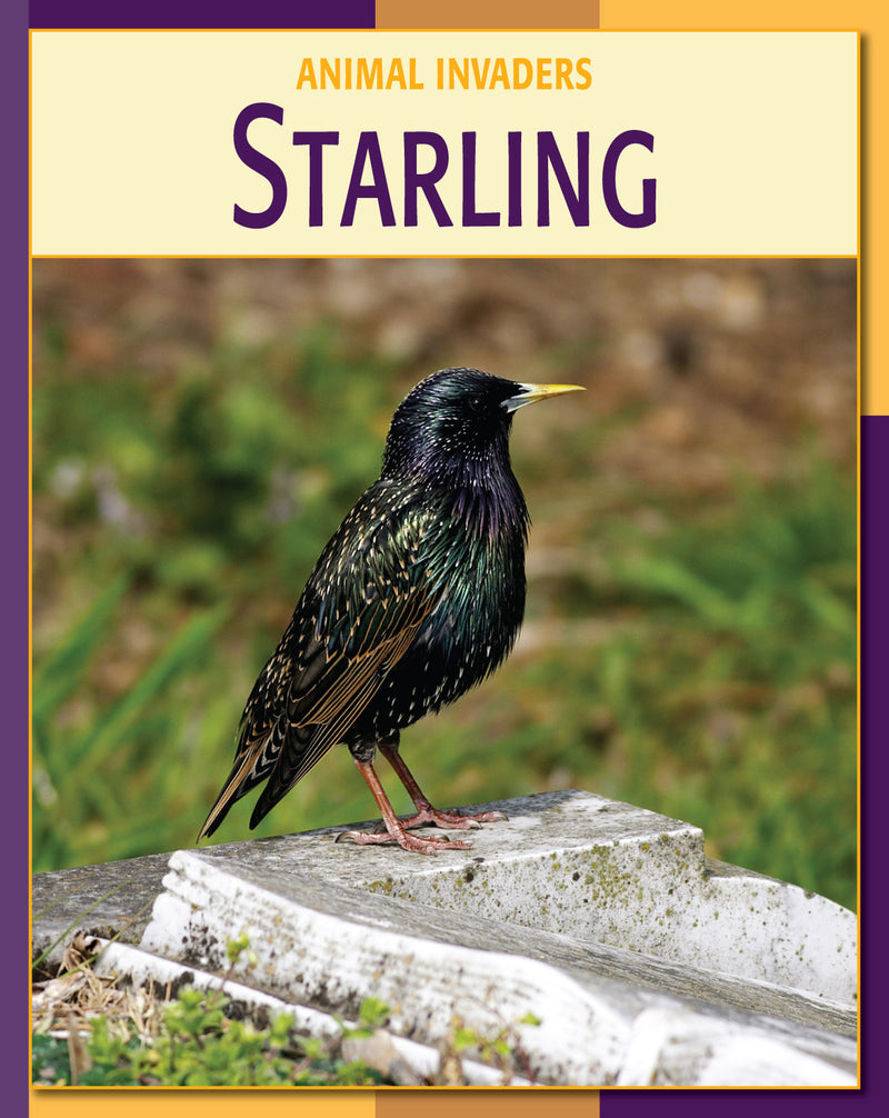 Starling