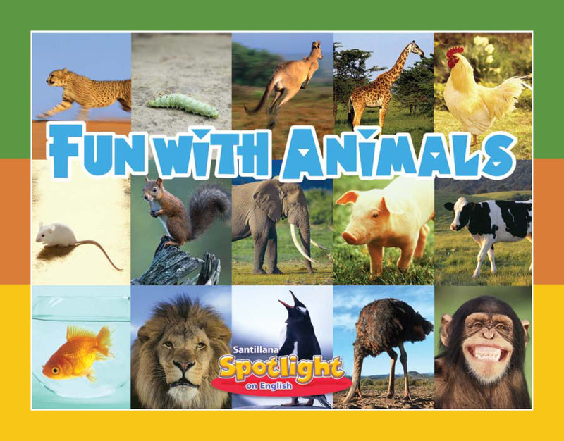 Fun with Animals