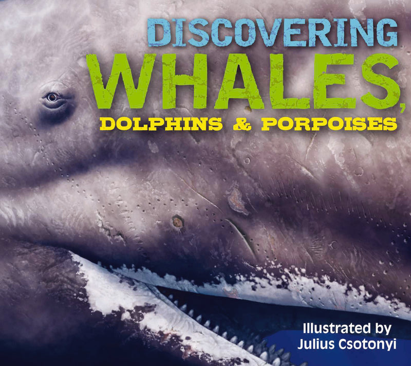 Discovering Whales, Dolphins and   Porpoises: The Ultimate Guide to the Ocean's Largest Mammals