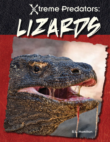 Lizards