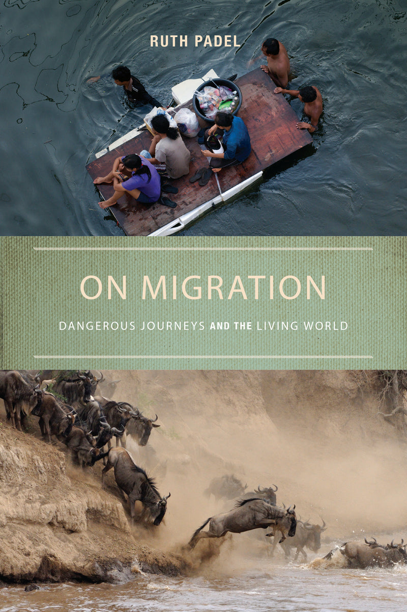 On Migration