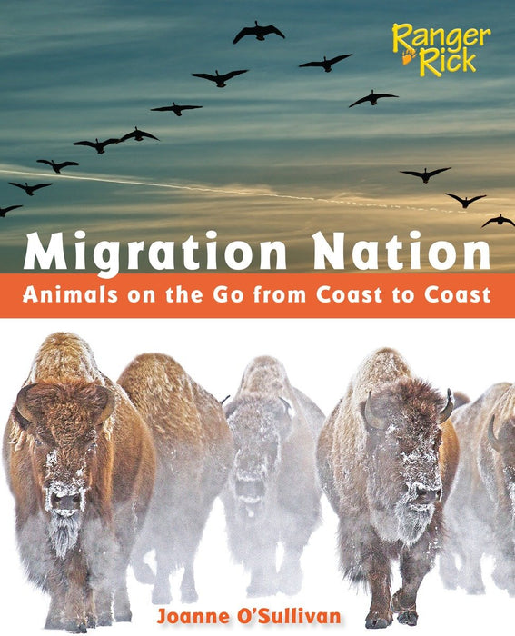 Migration Nation (National Wildlife Federation)