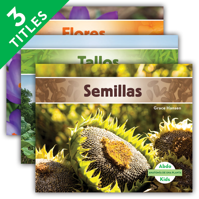 Anatomia de una planta (Plant Anatomy) (Set)