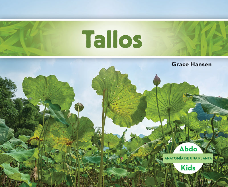 Tallos (Stems)