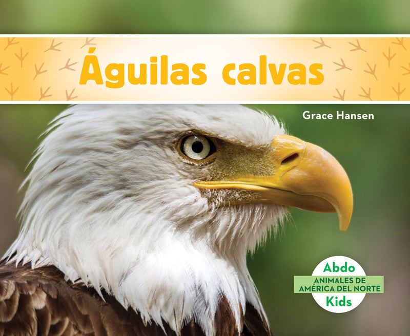 aguilas calvas (Bald Eagles)