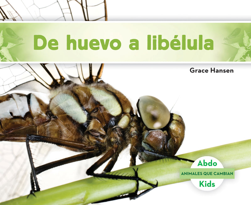 De huevo a libelula (Becoming a Dragonfly)