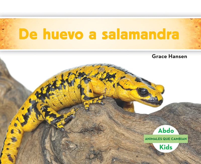 De huevo a salamandra (Becoming a Salamander )