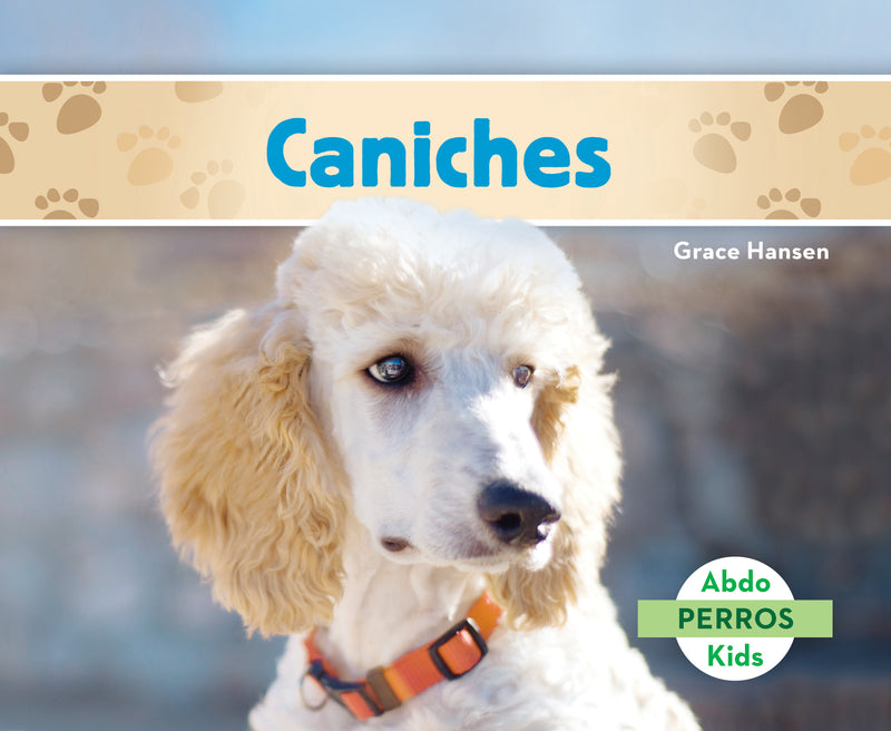 Caniches (Poodles )
