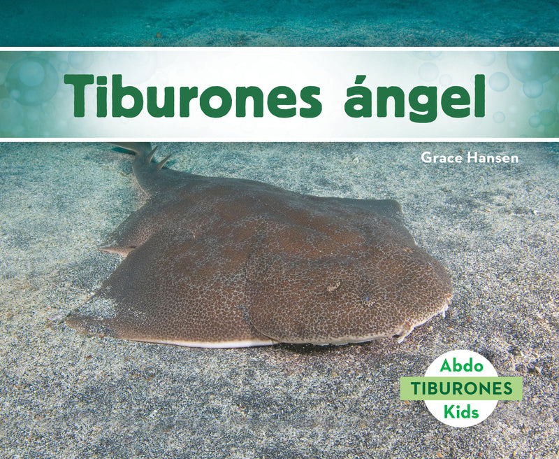 Tiburones angel (Angel Sharks)