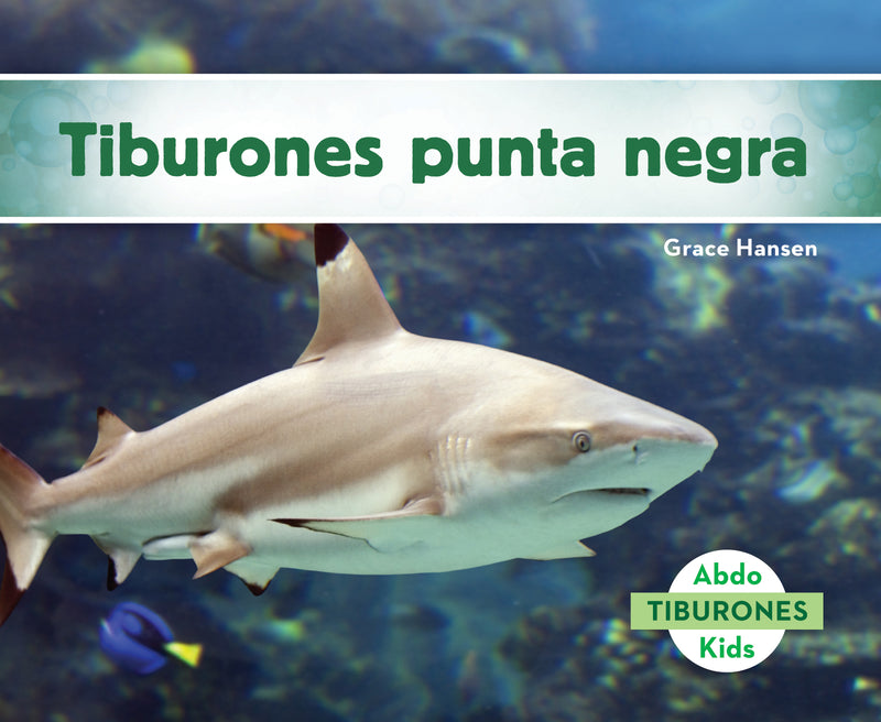 Tiburones punta negra (Blacktip Reef Sharks)
