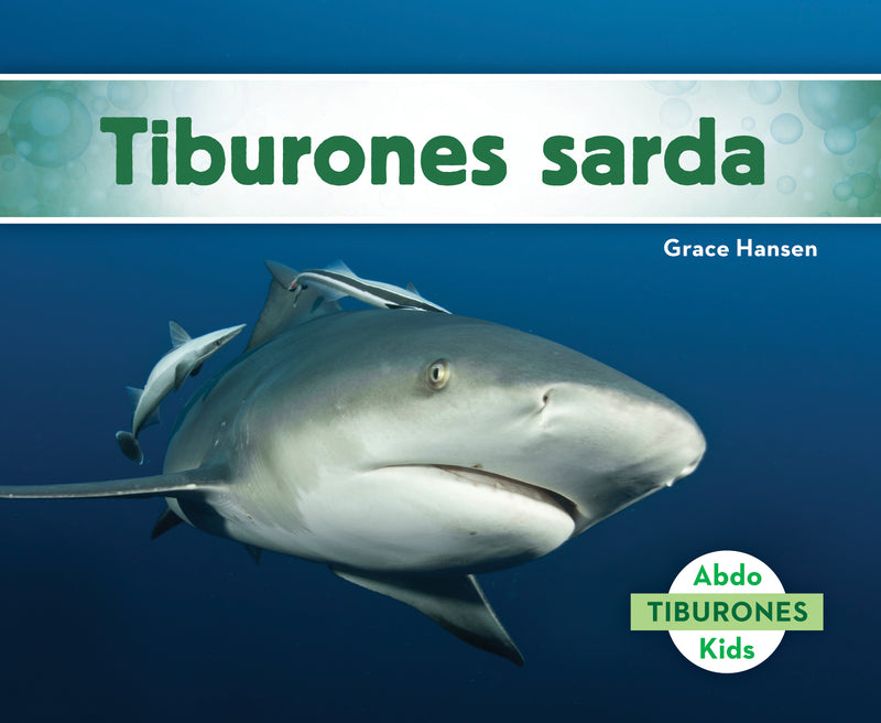 Tiburones sarda (Bull Sharks)