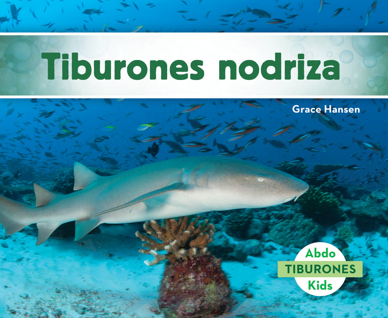 Tiburones nodriza (Nurse Sharks)