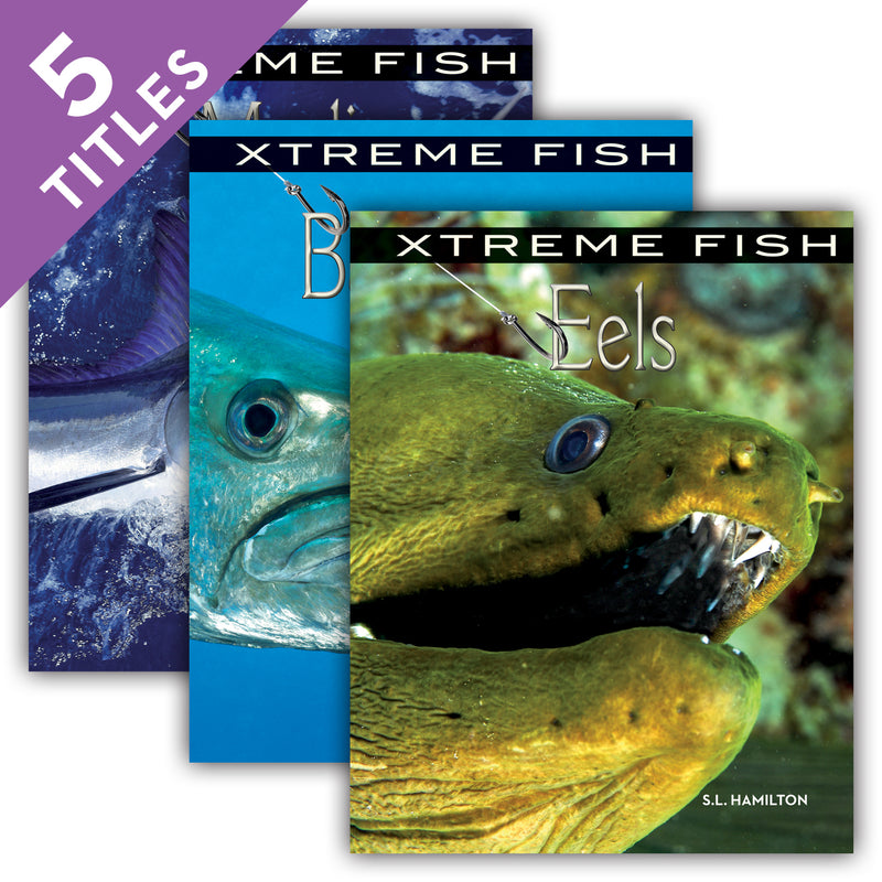 Xtreme Fish (Set)