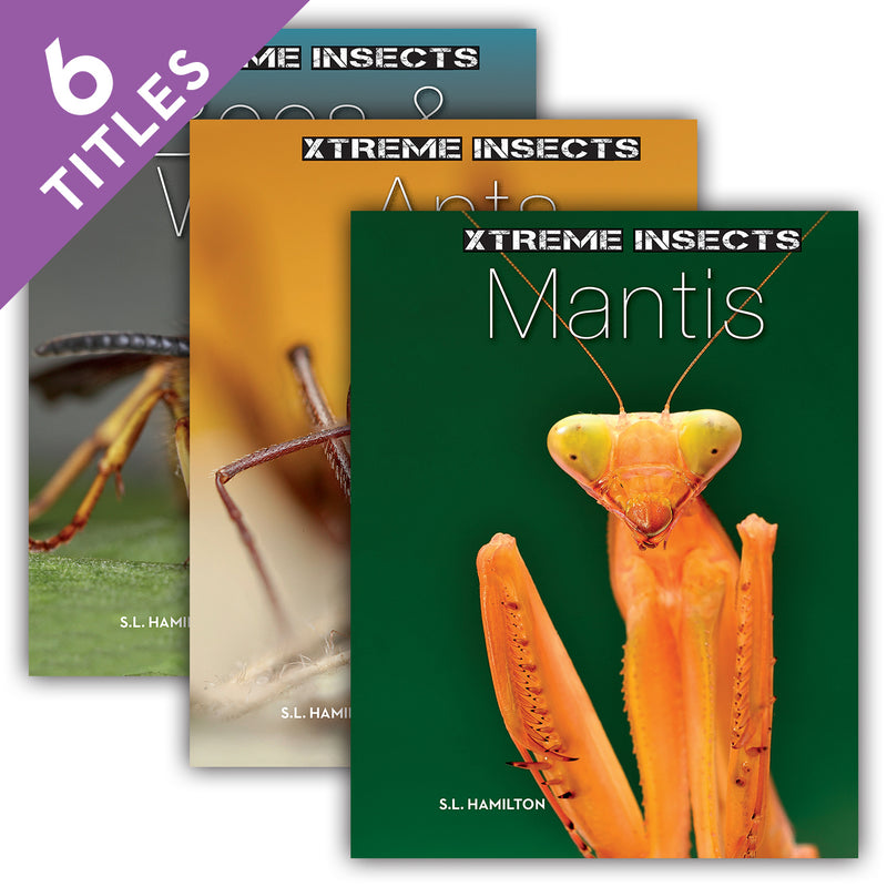 Xtreme Insects (Set)