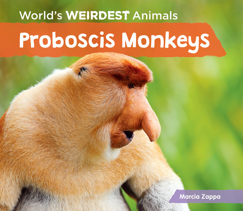 Proboscis Monkeys