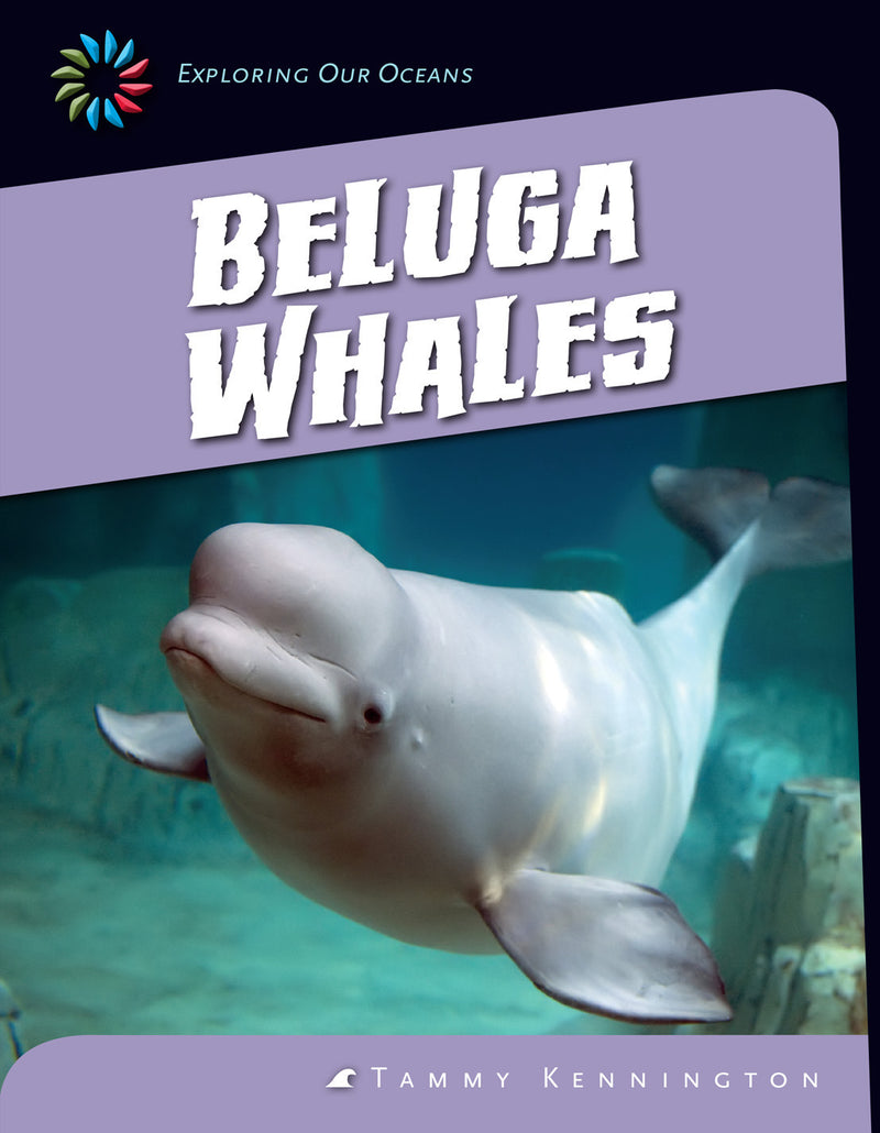 Beluga Whales