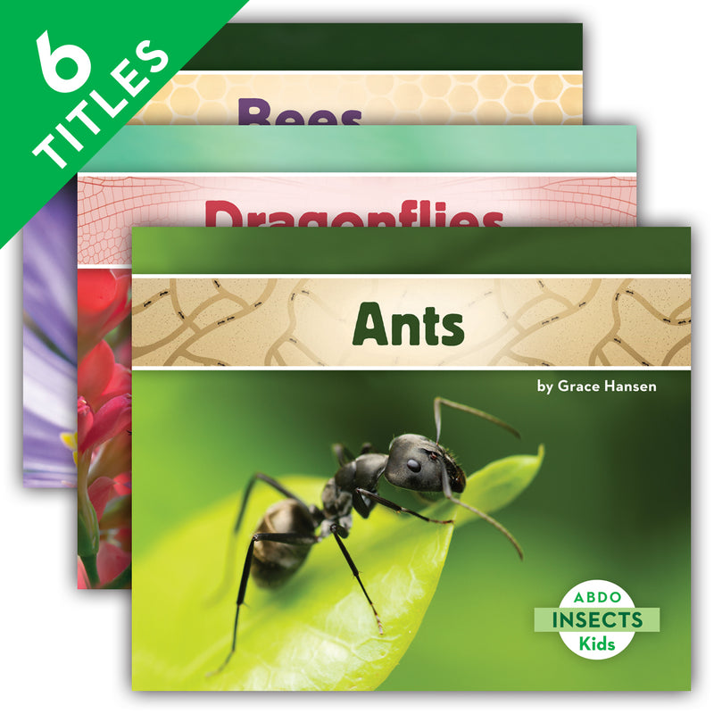 Insects (Set)