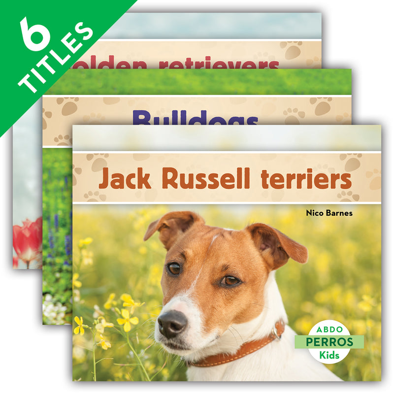 Perros Set 1 (Dogs) (Set)