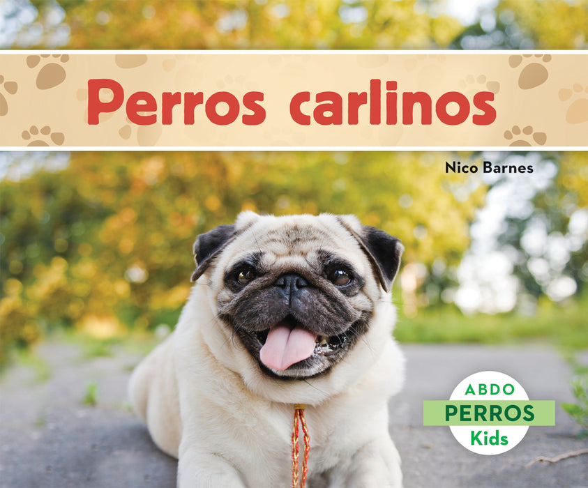 Perros carlinos (Pugs)